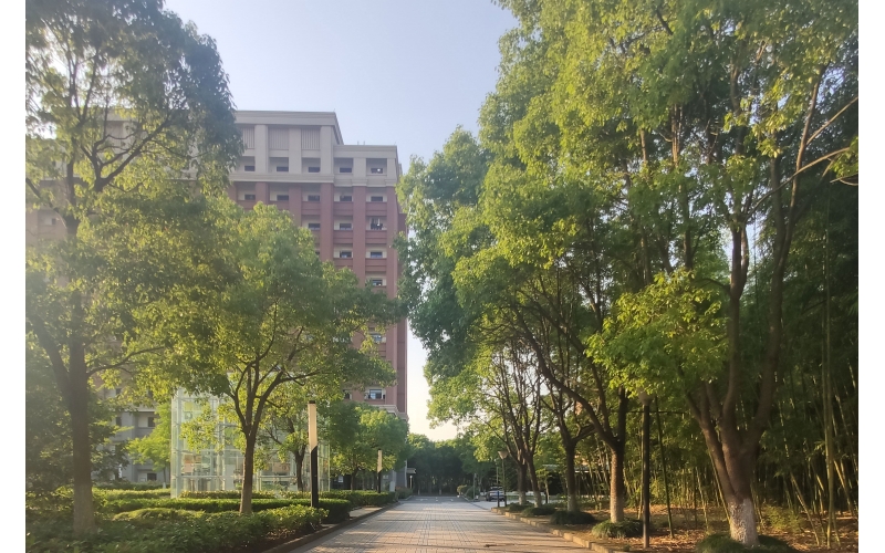 稻田學塾-日本留學畢業回國優勢有哪些